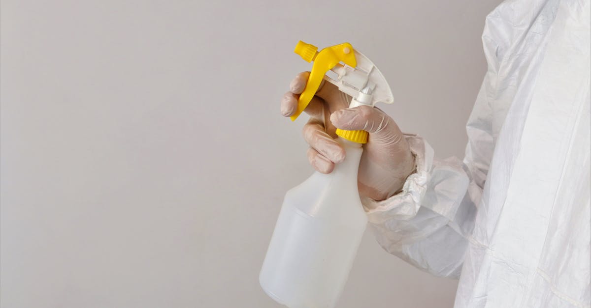 Best Mould-Resistant Flooring Options for Coastal Conditions