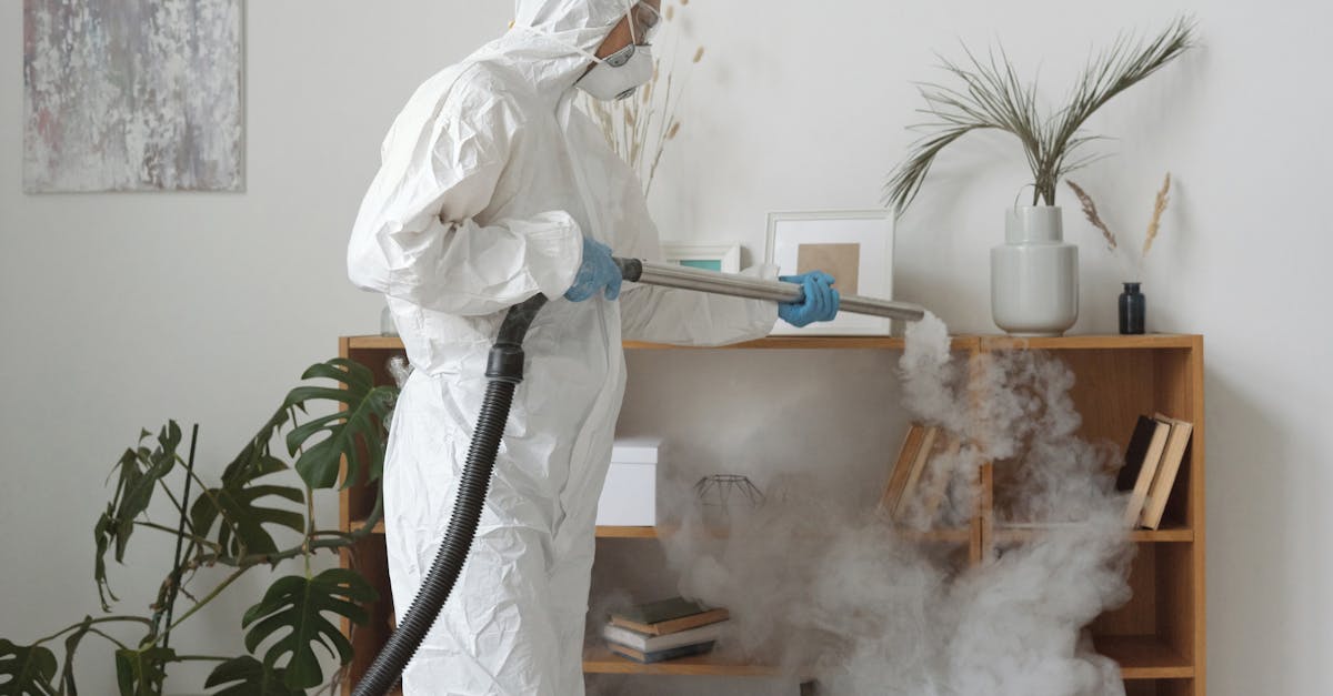 Best Practices for Biocide Application in Mould Remediation