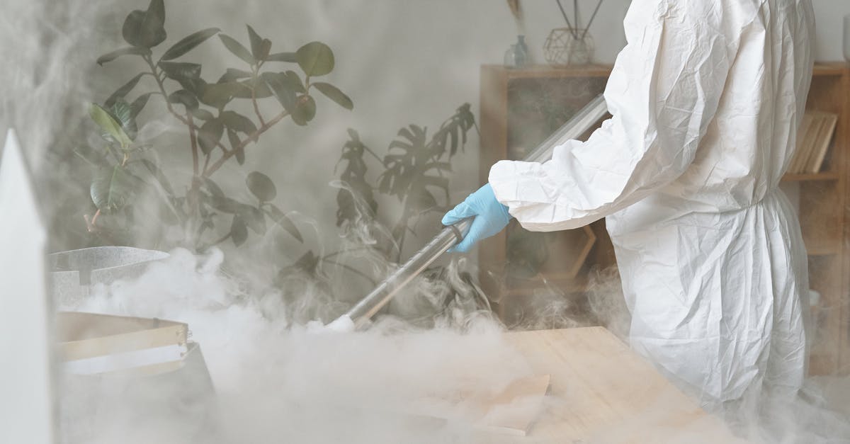 Best Practices for Gutter Installation to Minimise Mould Risks