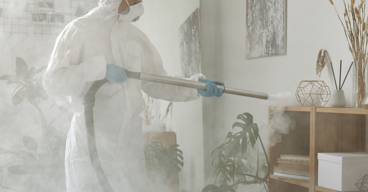 Best Practices for Operating Dehumidifiers in Gold Coast Homes