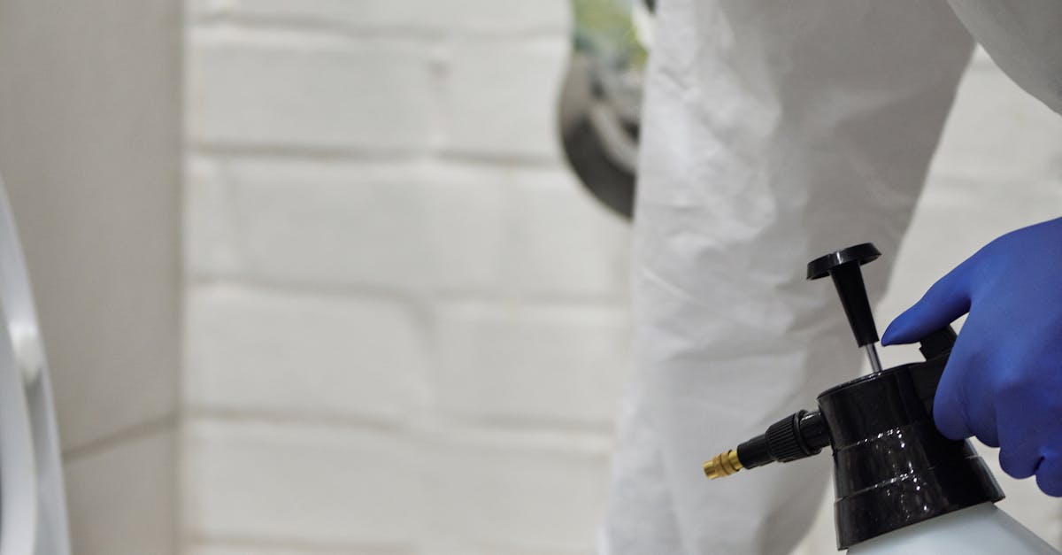 Choosing the Right Mould-Resistant Paints for Your Gold Coast Home