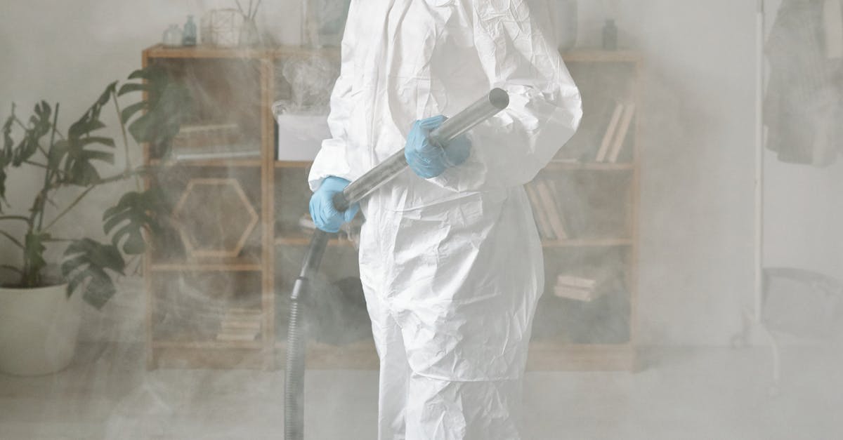 Effective Drying Techniques for Mould Remediation in Coastal Homes