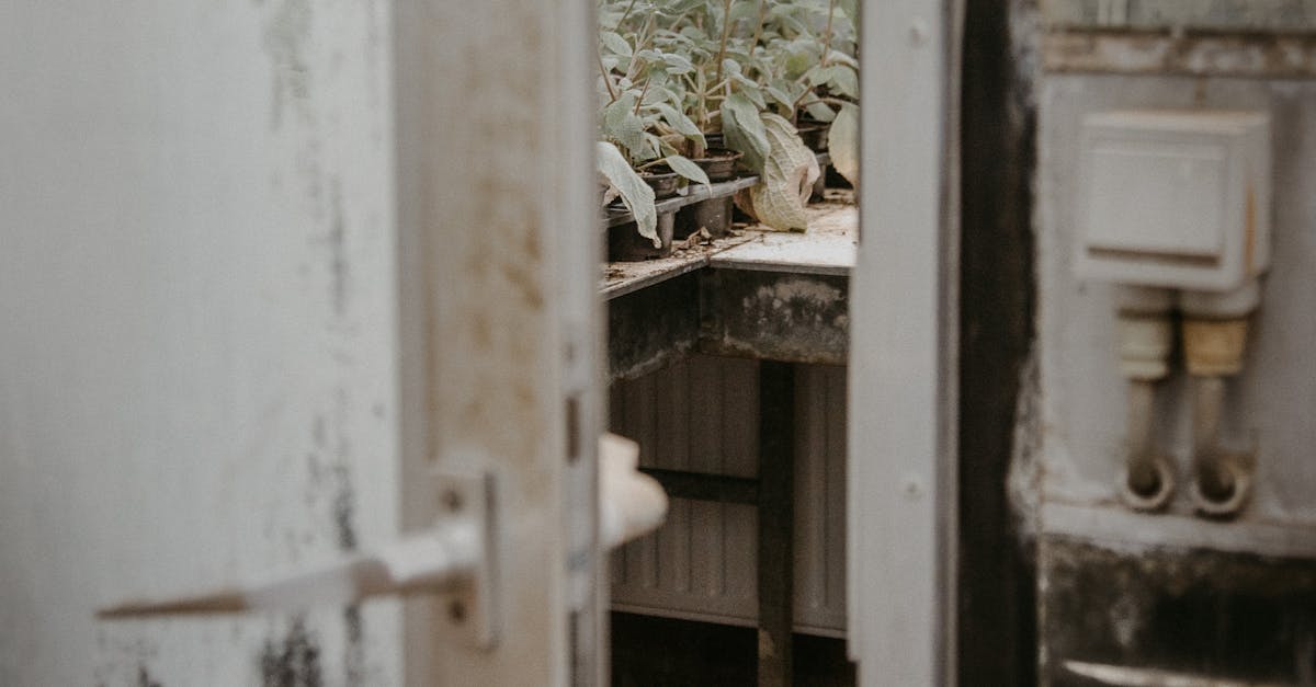 Guidelines for Incorporating Mould-Resistant Building Practices