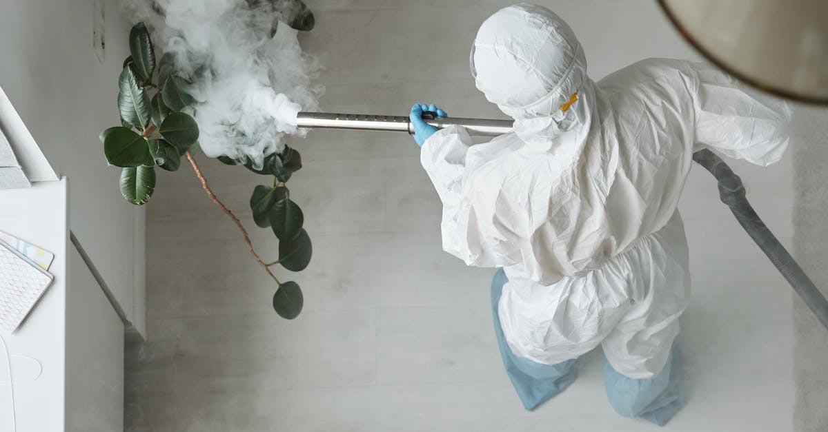 How Mould Allergies Affect Respiratory Health for Gold Coast Residents