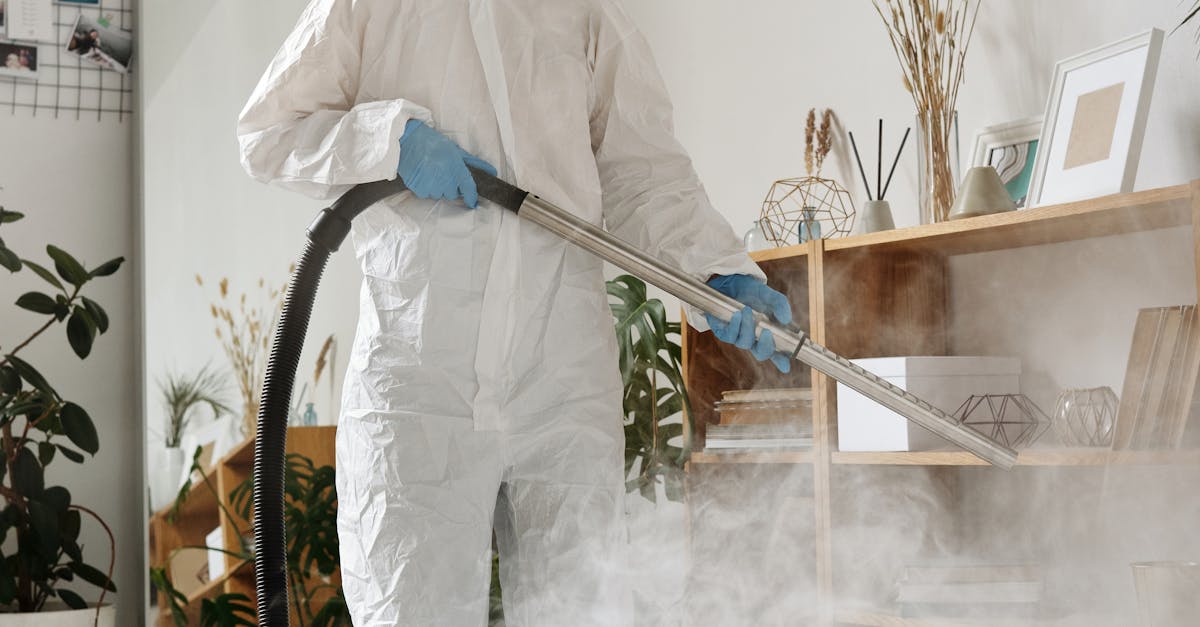 Impact of Mould Toxicity on Cognitive Function in Adults