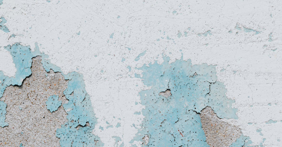 Implementing Drying Protocols Post Flooding to Combat Mould