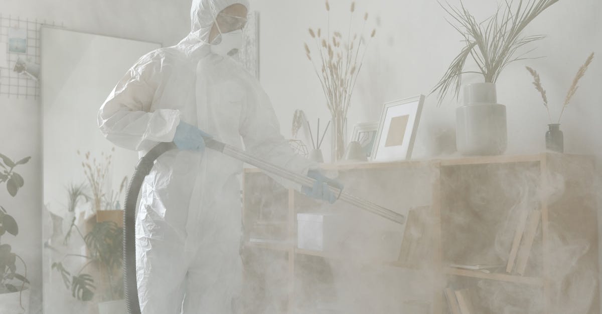 Strategies for Managing Mental Stress Related to Mould Infestations