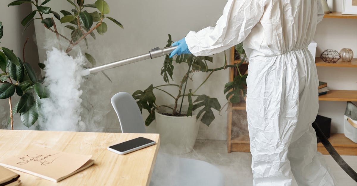 Symptoms of Mould Exposure in Children: What to Look For