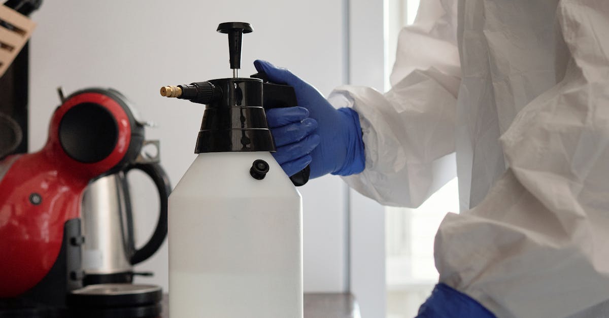 The Benefits of Professional Roof Maintenance Services in Mould Prevention