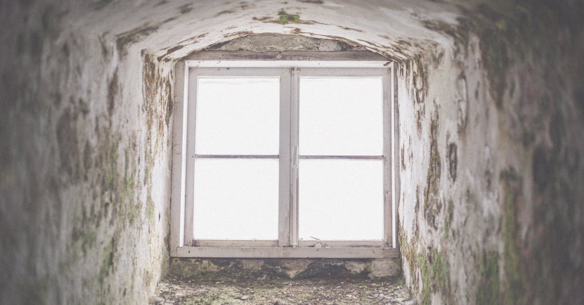 The Impact of Humidity Control on Mould Prevention via Ventilation