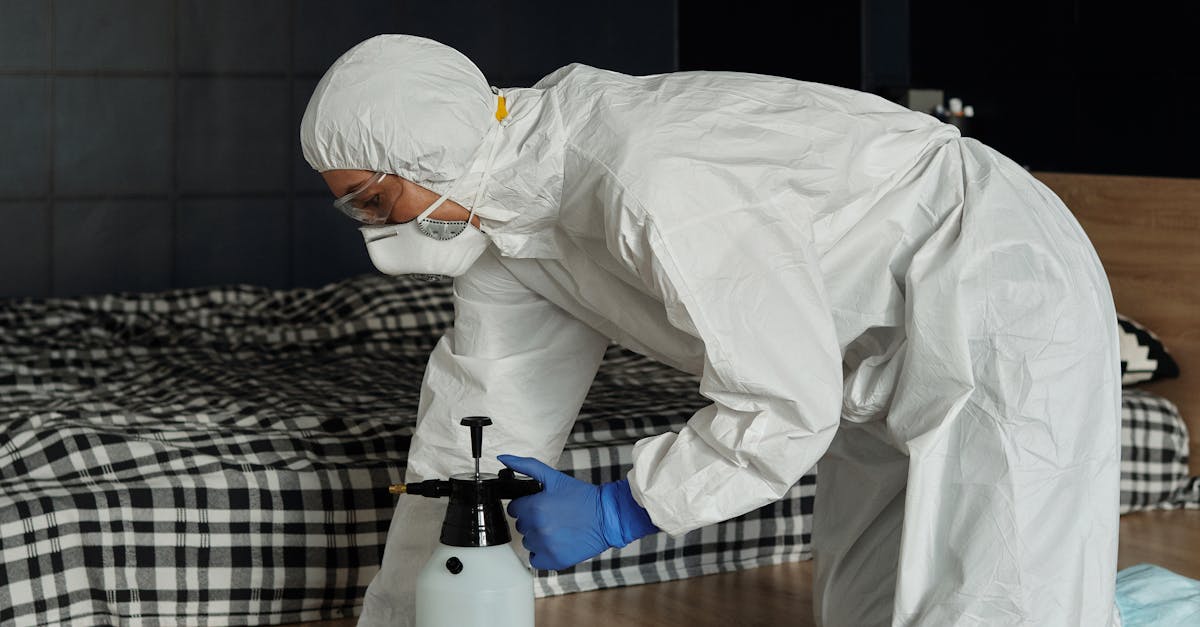 The Role of Airflow in Reducing Mould Growth in Wet Environments