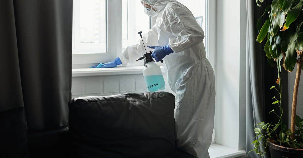 The Role of Biocides in Preventing Mould Recurrence
