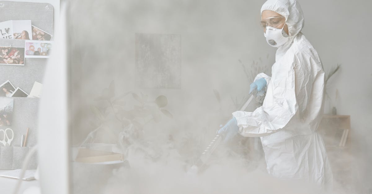 The Role of Dehumidifiers in Reducing Humidity Levels on the Gold Coast