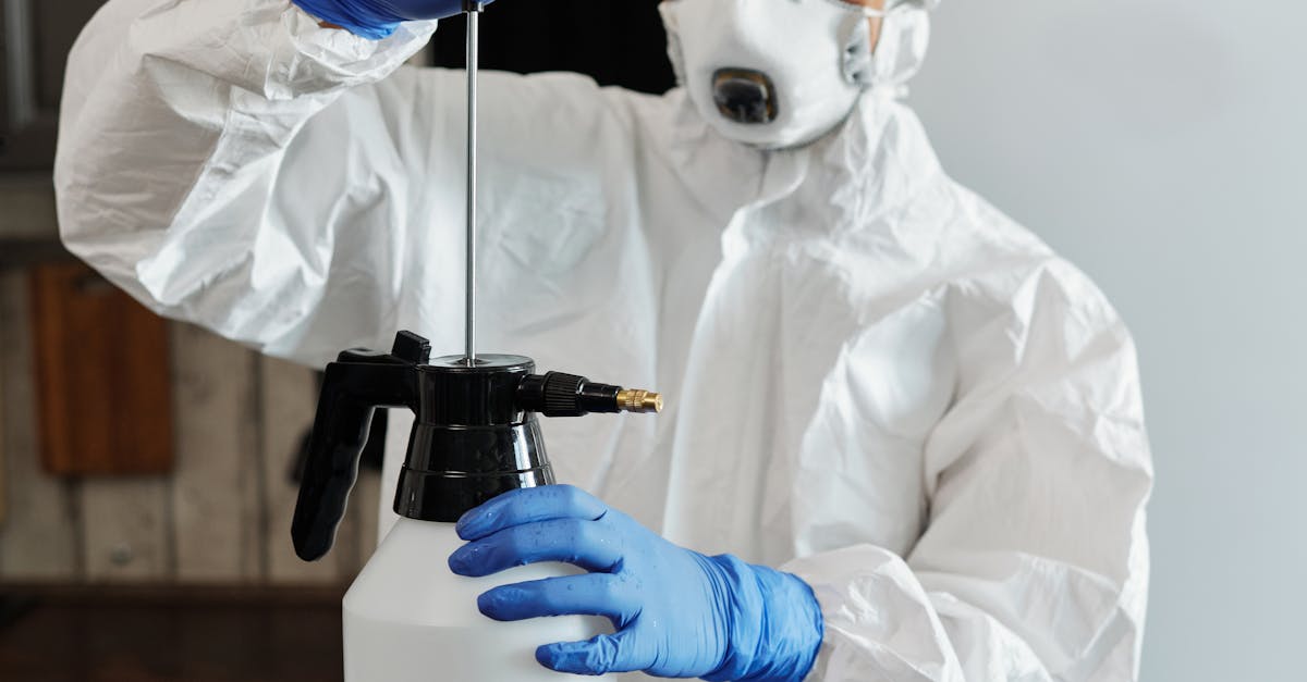 The Role of Manual Scrubbing in Physical Mould Removal