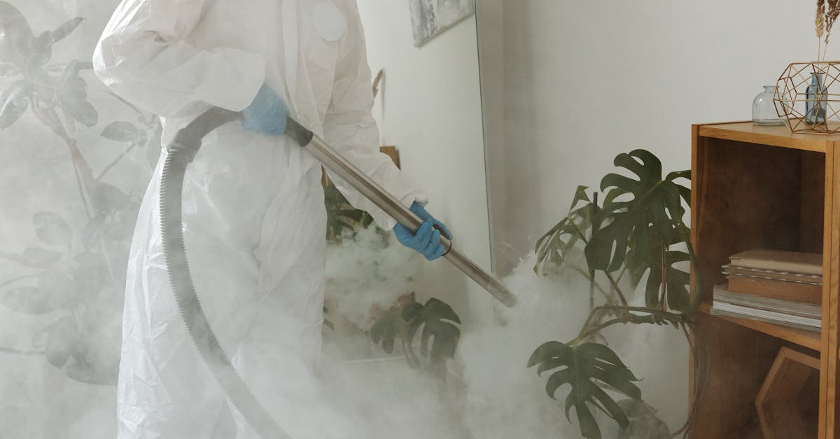 The Role of Natural Airflow in Preventing Mould Growth
