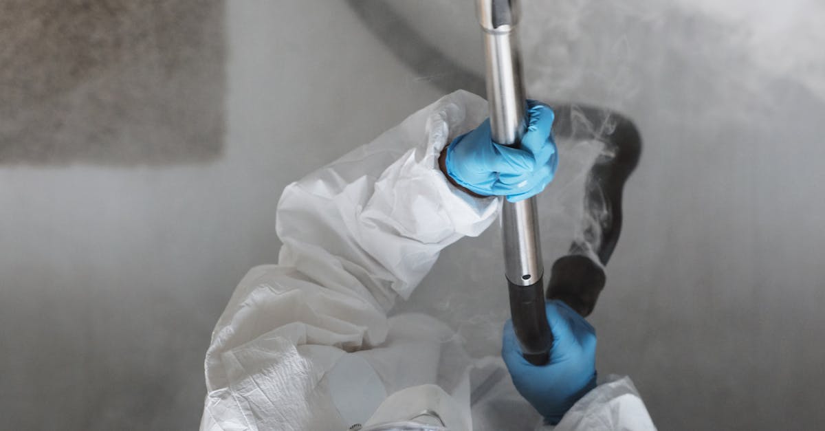 Understanding Humidity Control for Mould-Free Spaces