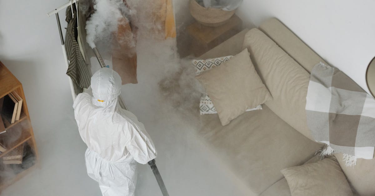 Understanding Humidity Levels and Mould Risks on the Gold Coast