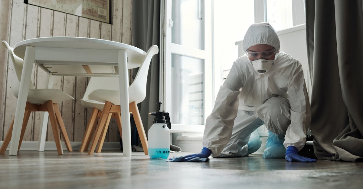 Understanding the Risks of Mould for Pregnant Women in Gold Coast