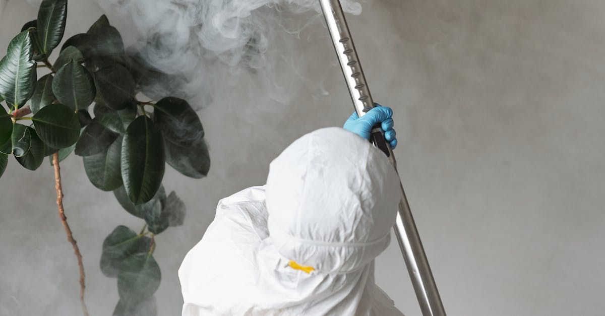 Understanding the Role of Mould-Resistant Sealants in Construction